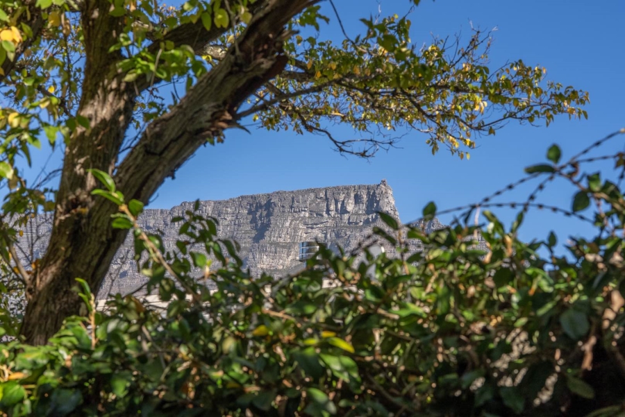 4 Bedroom Property for Sale in Tamboerskloof Western Cape
